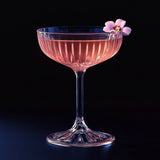 Pack 10 / Pink Gin Tonic